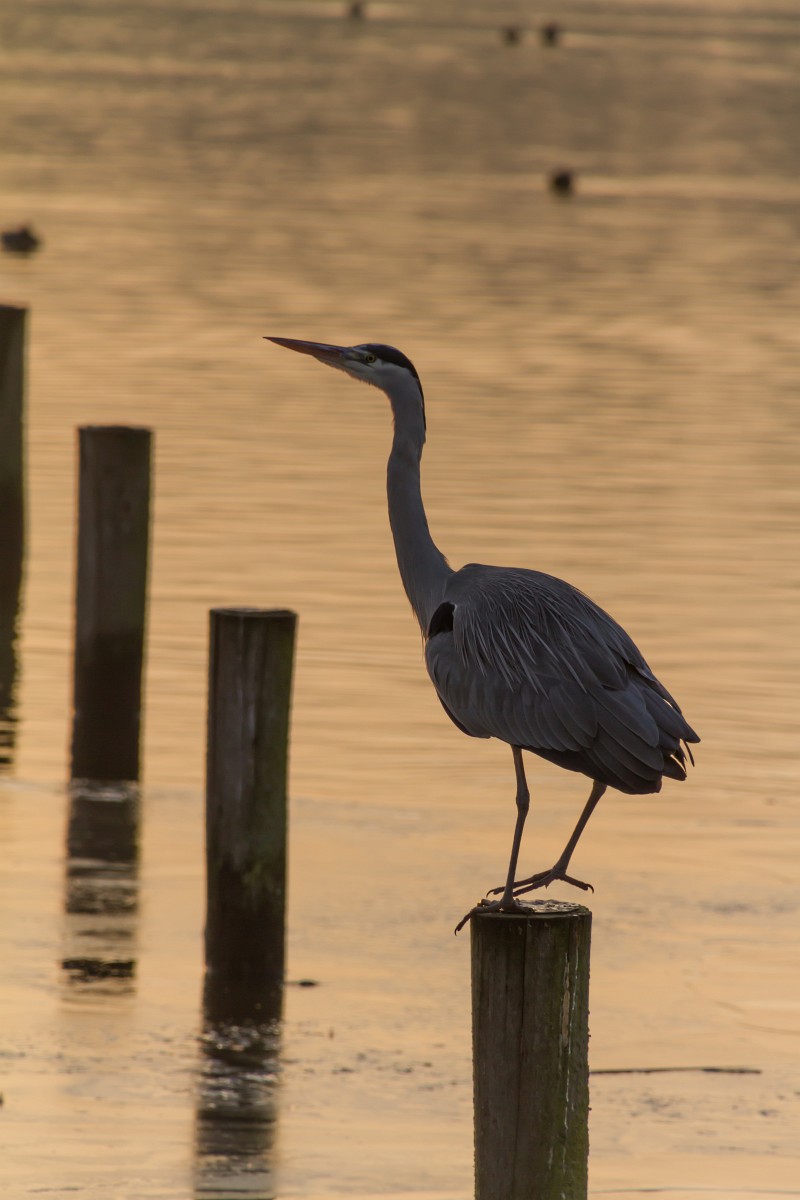 foto: [20161206PV0968]